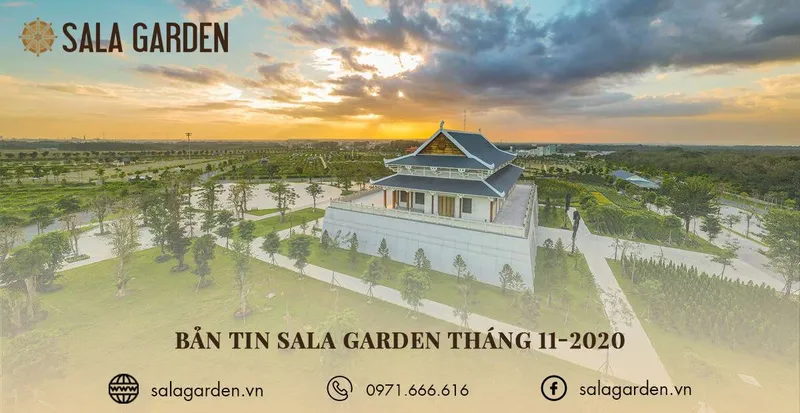 Sản phẩm ban tin salagarden thang 11 1 — Công Ty TNHH Thương Mại Và Dịch Vụ Phú Thiện Phát — MST 3602259157