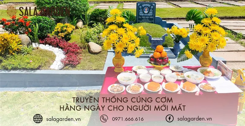 Sản phẩm cung com cho nguoi da mat — Công Ty TNHH Thương Mại Và Dịch Vụ Phú Thiện Phát — MST 3602259157