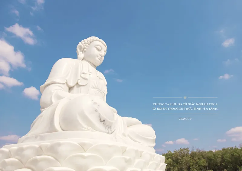 Sản phẩm gioi thieu 1 — Công Ty TNHH Thương Mại Và Dịch Vụ Phú Thiện Phát — MST 3602259157