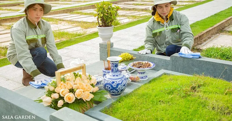 Sản phẩm sala — Công Ty TNHH Thương Mại Và Dịch Vụ Phú Thiện Phát — MST 3602259157