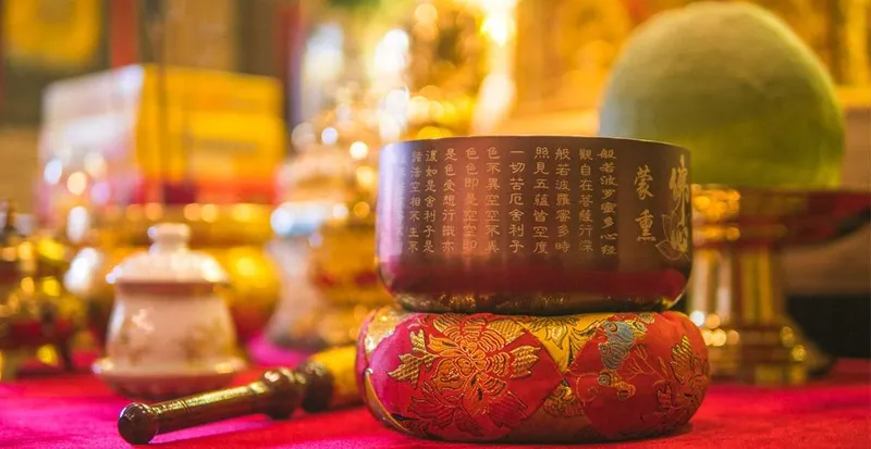 Sản phẩm salagarden_06 2020_15 — Công Ty TNHH Thương Mại Và Dịch Vụ Phú Thiện Phát — MST 3602259157