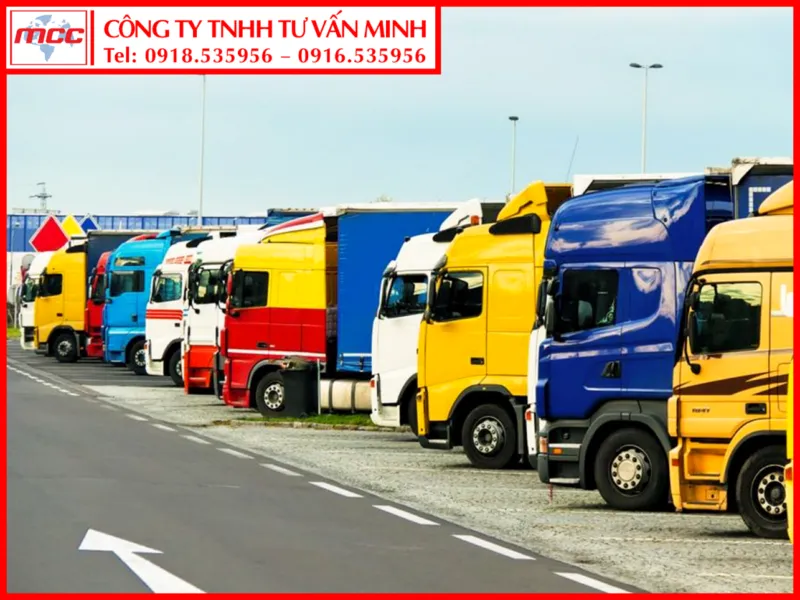 Sản phẩm 3 — Công Ty TNHH Minh MCC.Group Việt Nam — MST 3602286231