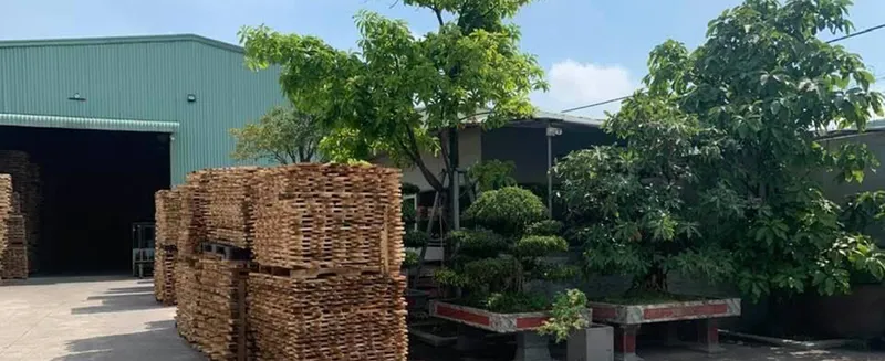 Sản phẩm s1 — Công Ty TNHH Sản Xuất Thương Mại Dịch Vụ Xuất Nhập Khẩu Bảo Duy — MST 3602379253