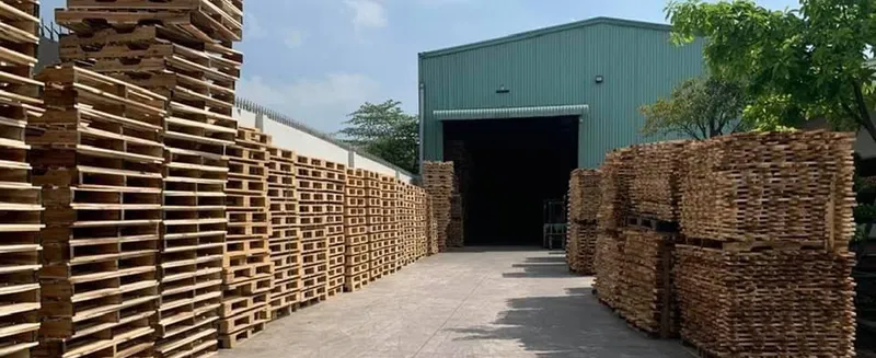 Sản phẩm s2 — Công Ty TNHH Sản Xuất Thương Mại Dịch Vụ Xuất Nhập Khẩu Bảo Duy — MST 3602379253