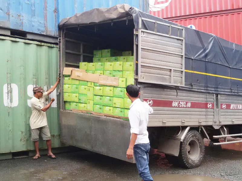 Sản phẩm Hoat dong 1 — Cơ Sở Việt Chuối — MST 3602586267