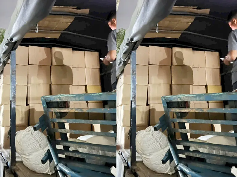 Sản phẩm Hoat dong 12 — Cơ Sở Việt Chuối — MST 3602586267