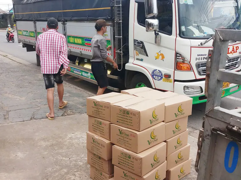 Sản phẩm Hoat dong 14 — Cơ Sở Việt Chuối — MST 3602586267