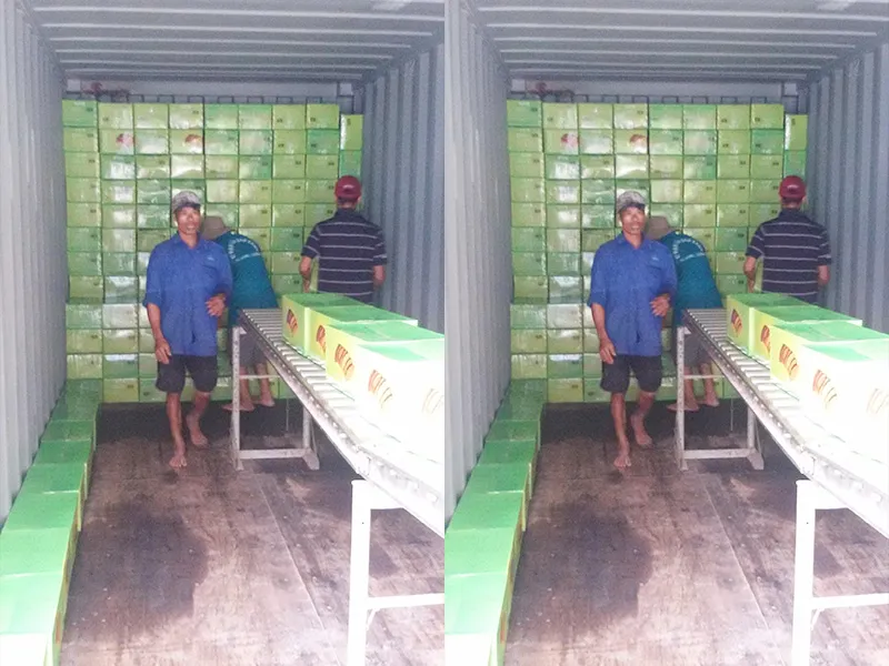 Sản phẩm Hoat dong 3 — Cơ Sở Việt Chuối — MST 3602586267
