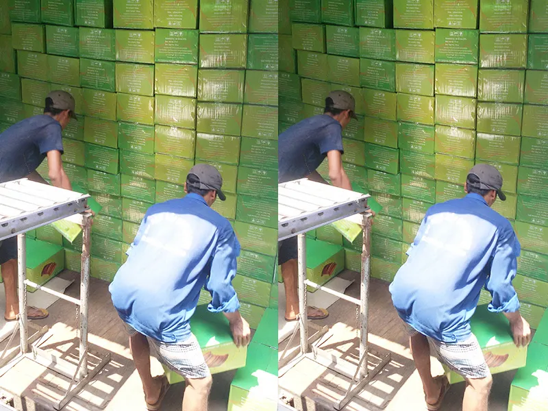 Sản phẩm Hoat dong 6 — Cơ Sở Việt Chuối — MST 3602586267