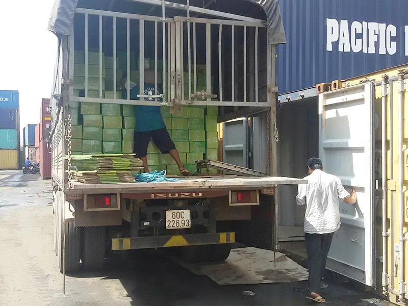 Sản phẩm Hoat dong 8 — Cơ Sở Việt Chuối — MST 3602586267
