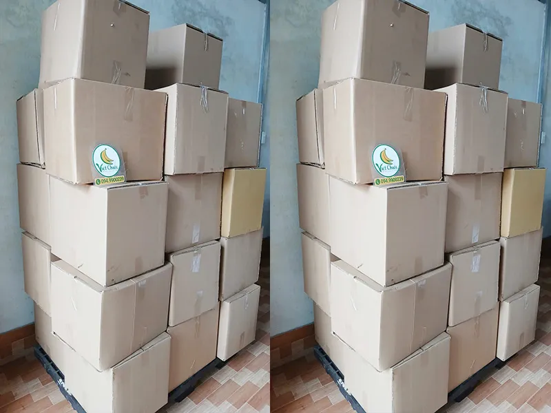 Sản phẩm Kho 15 — Cơ Sở Việt Chuối — MST 3602586267