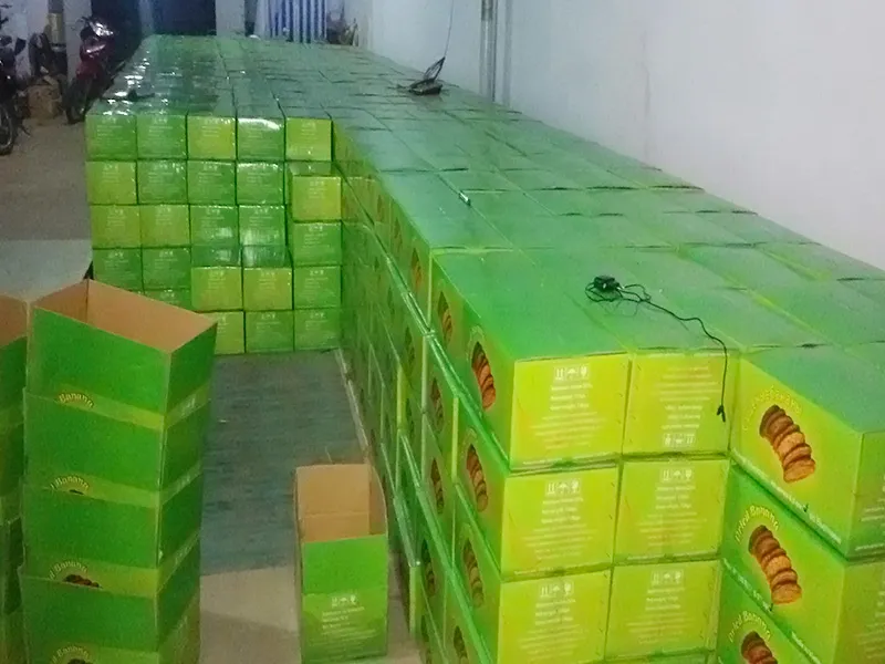 Sản phẩm Kho 2 — Cơ Sở Việt Chuối — MST 3602586267