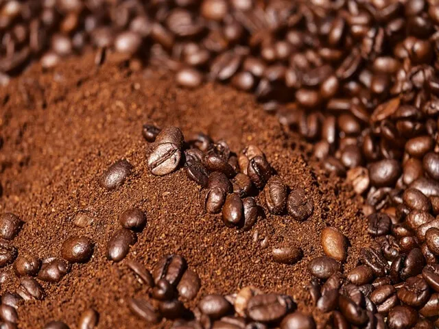 Sản phẩm ca phe nguyen chat gia re tai ha noi — Café Đại Phát Lộc - Công Ty TNHH Một Thành Viên Sản Xuất Thương Mại Café Đại
Phát Lộc — MST 3602613873