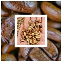 Sản phẩm cafe honey coffee — Café Đại Phát Lộc - Công Ty TNHH Một Thành Viên Sản Xuất Thương Mại Café Đại
Phát Lộc — MST 3602613873