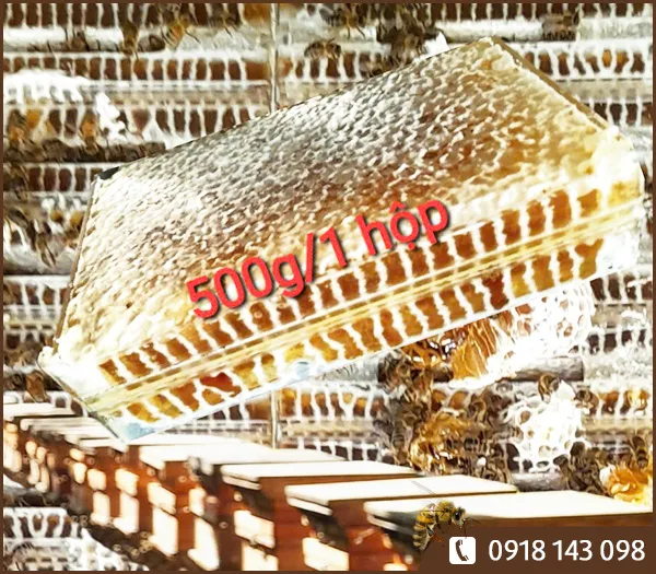 Sản phẩm Hop banh to mat ong 500g 1 — Mật Ong Dương Linh - Công Ty TNHH Một Thành Viên SX-TM-DV Mật Ong Dương Linh — MST 3602745414