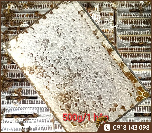 Sản phẩm Hop banh to mat ong 500g 2 — Mật Ong Dương Linh - Công Ty TNHH Một Thành Viên SX-TM-DV Mật Ong Dương Linh — MST 3602745414