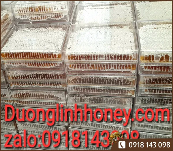 Sản phẩm Hop banh to mat ong 500g 3 — Mật Ong Dương Linh - Công Ty TNHH Một Thành Viên SX-TM-DV Mật Ong Dương Linh — MST 3602745414