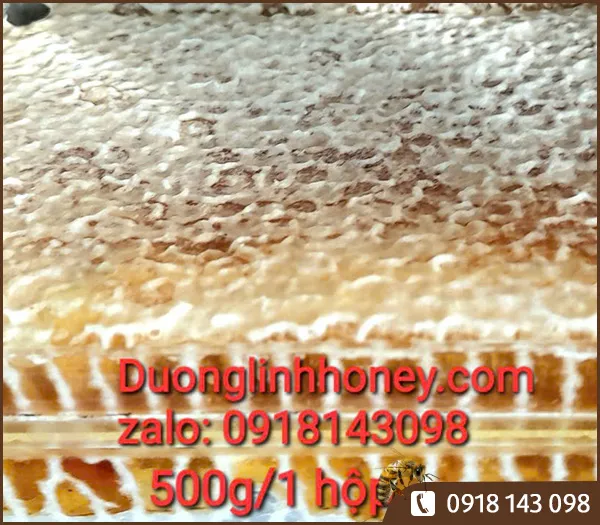 Sản phẩm Hop banh to mat ong 500g 4 — Mật Ong Dương Linh - Công Ty TNHH Một Thành Viên SX-TM-DV Mật Ong Dương Linh — MST 3602745414