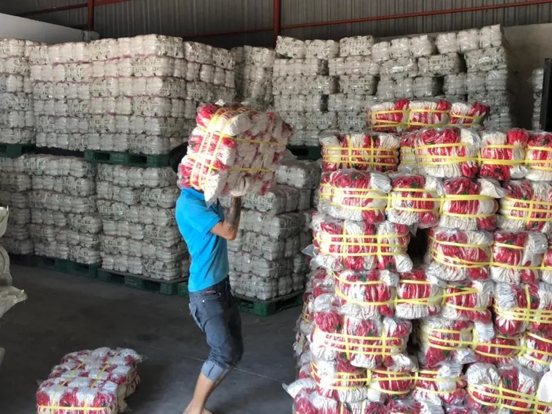 Sản phẩm 304941183_401478625434381_3831759426070633757_n — Găng Tay Kim Long - Công Ty TNHH Một Thành Viên Găng Tay Kim Long — MST 3602778064