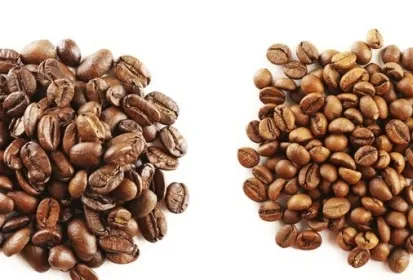 Sản phẩm 180430 phan biet hat arabica va hat robusta 6 2162 — Công Ty TNHH Thương Mại Nam Việt Toàn — MST 3602794676