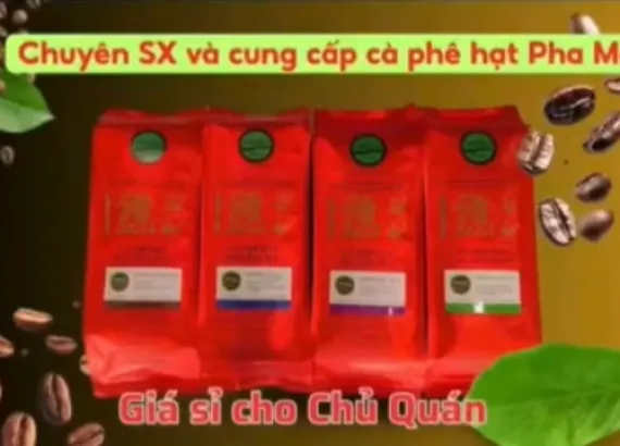 Sản phẩm cafe hat pha may 4952 — Công Ty TNHH Thương Mại Nam Việt Toàn — MST 3602794676