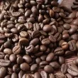 Sản phẩm robusta 1 7919 — Công Ty TNHH Thương Mại Nam Việt Toàn — MST 3602794676