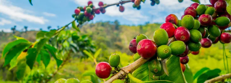 Sản phẩm thiet ke chua co ten 69 86070 — Công Ty TNHH Thương Mại Nam Việt Toàn — MST 3602794676