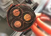 Sản phẩm cap dien trung the 24kv thumb — Công Ty Cổ Phần Đầu Tư Và Xây Lắp Trường Tiến — MST 3602935599