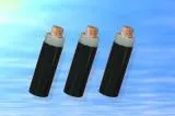 Sản phẩm cap trung the  thumb — Công Ty Cổ Phần Đầu Tư Và Xây Lắp Trường Tiến — MST 3602935599
