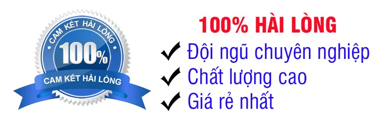 Sản phẩm da mai dong nai — Công Ty TNHH Dịch Vụ Doanh Nghiệp Việt — MST 3602943913