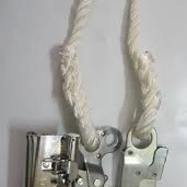 Sản phẩm 089525269156 — Công Ty TNHH Sản Xuất Thương Mại Dịch Vụ Bảo Toàn Phát — MST 3602968322