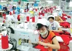 Sản phẩm 33 5699 — Công Ty TNHH Giấy Tiến Đường — MST 3603025105
