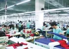 Sản phẩm 55 378 — Công Ty TNHH Giấy Tiến Đường — MST 3603025105