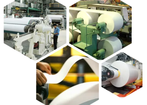 Sản phẩm das05 351 — Công Ty TNHH Giấy Tiến Đường — MST 3603025105