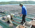 Sản phẩm 888056773106 — Công Ty TNHH Xuất Nhập Khẩu Minh Hiếu Miền Nam — MST 3603053688