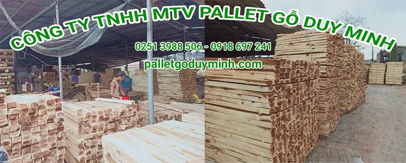Sản phẩm 6 3681 81930 — Công Ty TNHH Một Thành Viên Pallet Gỗ Duy Minh — MST 3603068740