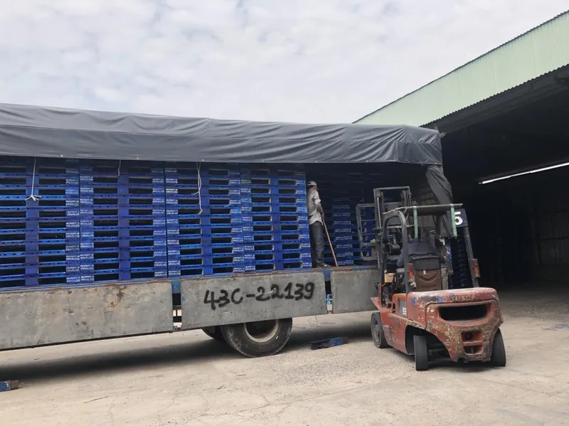 Sản phẩm z7681079912117_36d90e0a650a0670e49347720d9da250 — Công Ty TNHH Pallet Gỗ Ưu Việt — MST 3603072634