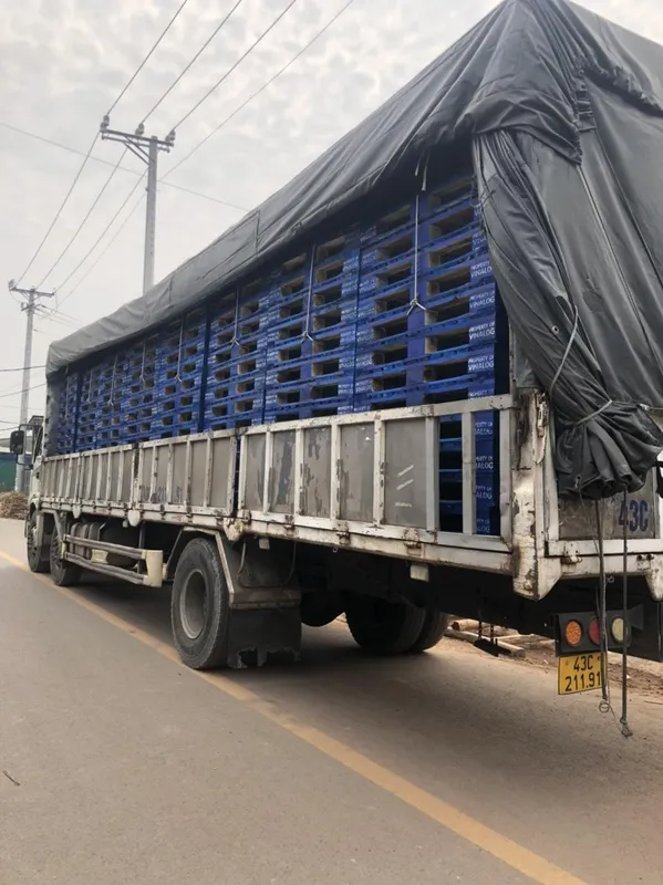 Sản phẩm z7681079944345_dd8ff7dddb9f568473d94c062adcdabe — Công Ty TNHH Pallet Gỗ Ưu Việt — MST 3603072634