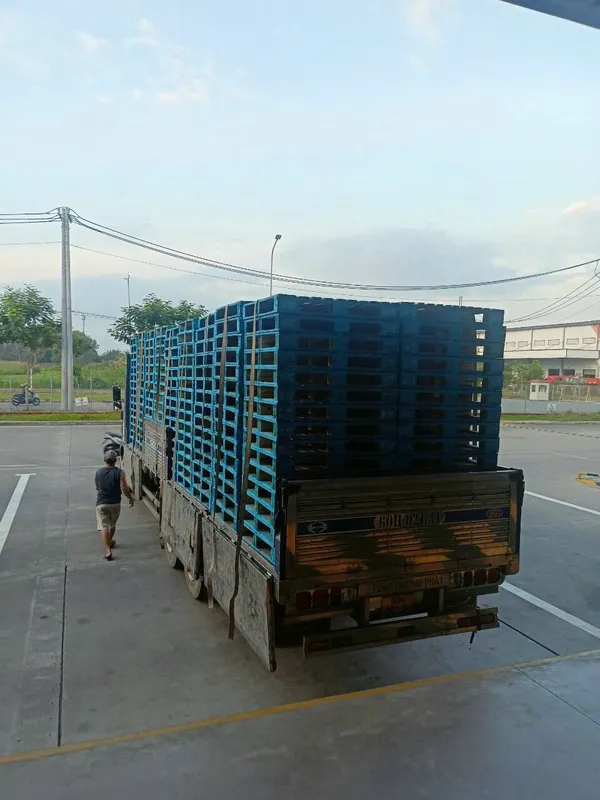 Sản phẩm z7750533423128_d8d0096edadd3a4b9b414d4de354dd7c — Công Ty TNHH Pallet Gỗ Ưu Việt — MST 3603072634