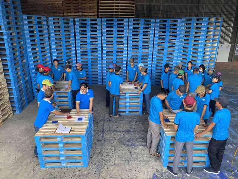 Sản phẩm z7755178695816_528e7ea947da588e1e402d8c1119619d — Công Ty TNHH Pallet Gỗ Ưu Việt — MST 3603072634