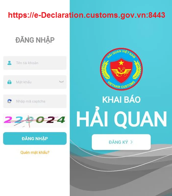Sản phẩm ph n m m khai h i quan ccs4eo vnaccs mi n ph cho doanh nghi p xu t nh p kh u tr n website thu c tchq — Công Ty TNHH MTV XNK Đàm Việt — MST 3603088257