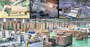 Sản phẩm tong hop tin tuc dang chu y cua nganh giay the gioi va viet nam trong nam 2025 — Bao Bì Carton Phú Vinh Phúc - Công Ty TNHH Một Thành Viên Sản Xuất Thương Mại
Giấy Phú Vinh Phúc — MST 3603122733