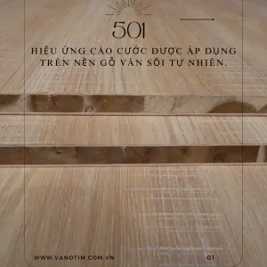 Sản phẩm 2 1 300x300 — Công Ty TNHH Ván Ô Tim — MST 3603132869