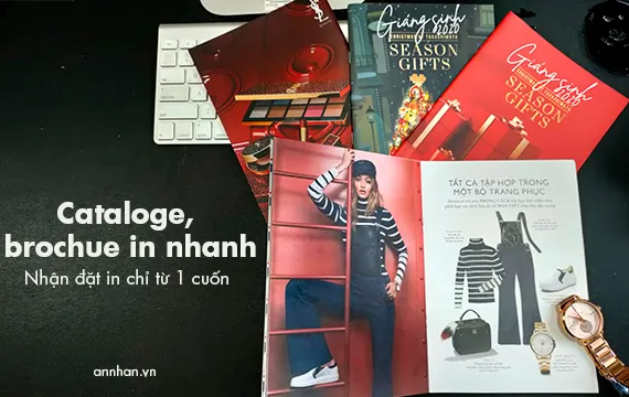 Sản phẩm cataloge — Công Ty TNHH In Mộc Hòa — MST 3603145321