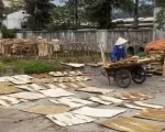 Sản phẩm 17 — DNTN Ván ép Phú Hưng (DNTN Thuận Công Thành) — MST 3603157119