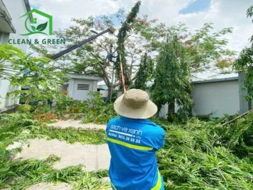 Sản phẩm dich vu cham soc canh quang cay xanh tai dong nai 365x275 — Công Ty TNHH Giải Pháp Sạch Và Xanh — MST 3603215402
