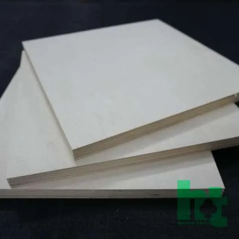 Sản phẩm ds 480x480 — Ván ép Hoằng Thái - Công Ty TNHH Một Thành Viên Hoằng Thái — MST 3603223562