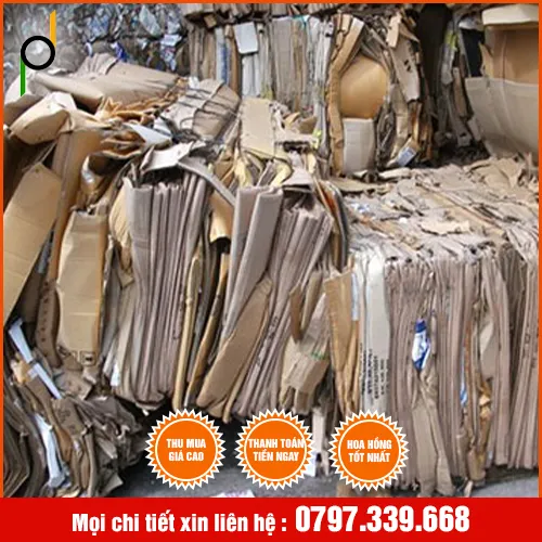 Sản phẩm Thu mua giáº¥y pháº¿ liá»‡u 2 — Phế Liệu Phạm Doãn - Công Ty TNHH Thương Mại - Dịch Vụ Phạm Doãn — MST 3603223989