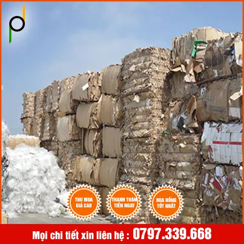 Sản phẩm Thu mua giáº¥y pháº¿ liá»‡u 3 — Phế Liệu Phạm Doãn - Công Ty TNHH Thương Mại - Dịch Vụ Phạm Doãn — MST 3603223989