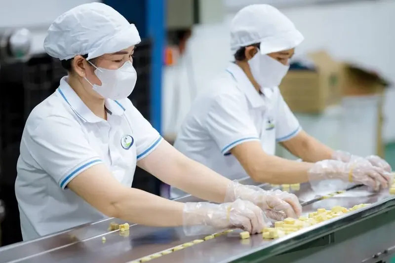 Sản phẩm P__P2768 — Công Ty Cổ Phần Domilk — MST 3603243907